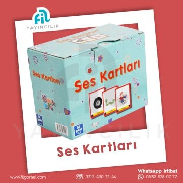 SES KARTLARI